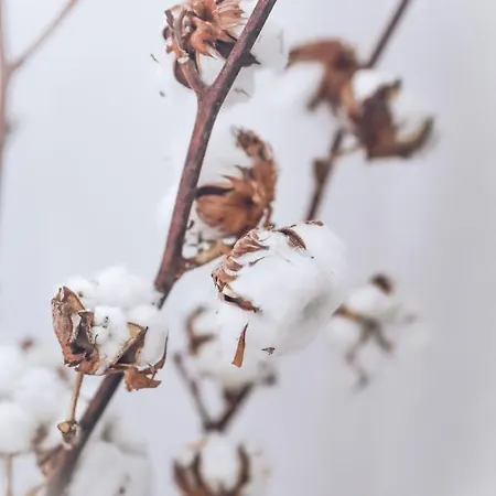 Ella's Castle View *