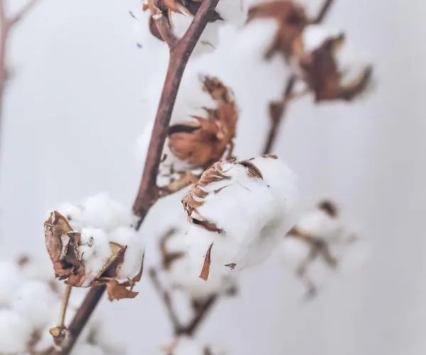 Ella's Castle View *